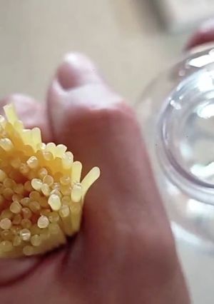 パスタ、だいたい100グラムの測り方-レシピのメイン写真