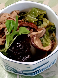 採れたて白菜のうま煮-レシピのメイン写真