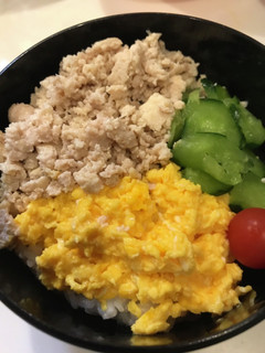 我が家の定番!汁あり三色丼-レシピのメイン写真