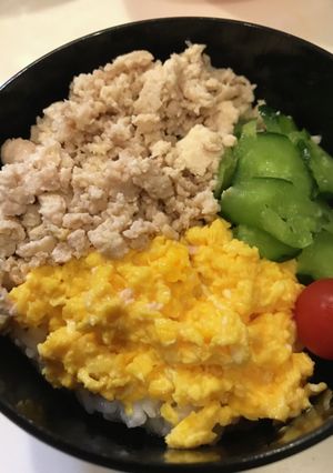 我が家の定番!汁あり三色丼-レシピのメイン写真
