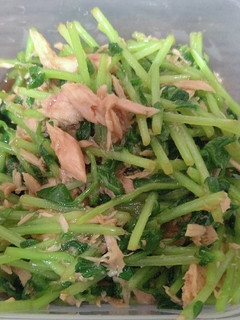 豆苗とツナ缶のめんつゆ和え-レシピのメイン写真