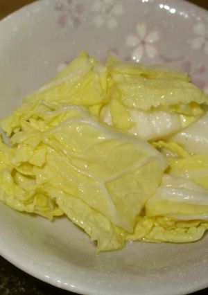 白菜の濃厚味噌汁浅漬け-レシピのメイン写真
