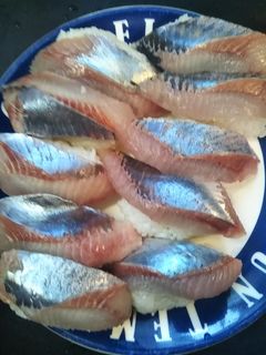春ニシン寿司!-レシピのメイン写真