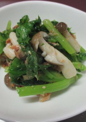 ワサビ菜と鰹フレークの和洋折衷和え-レシピのメイン写真