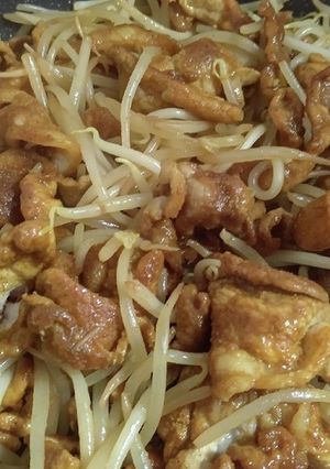 カレー風味スパイシー豚モヤシ-レシピのメイン写真