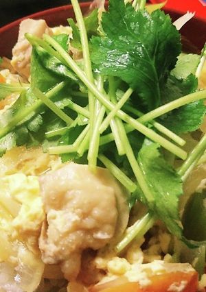超絶簡単親子丼-レシピのメイン写真