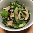 残った梅酢でしば漬け風