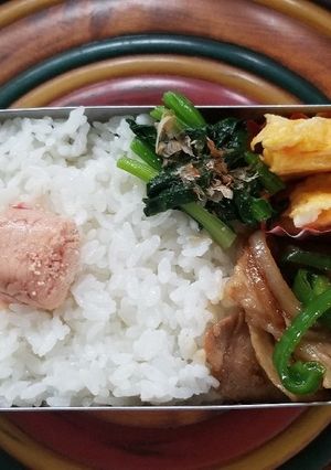 豚肉ピーマン炒め弁当(3.13)-レシピのメイン写真