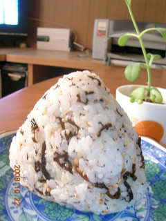 塩昆布・ゆかり・ごまのおにぎり^m^-レシピのメイン写真