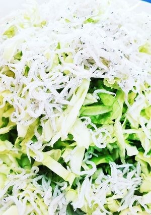 簡単農家メシ、キャベツの釜揚げシラスかけ-レシピのメイン写真