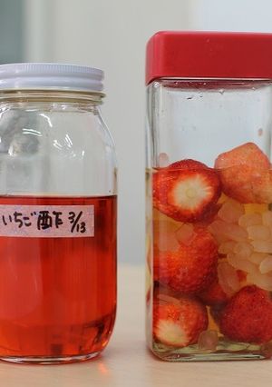 カンタン☆フルーツビネガー-レシピのメイン写真