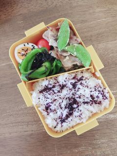 スナップえんどうと豚肉のマヨ炒め弁当♪-レシピのメイン写真