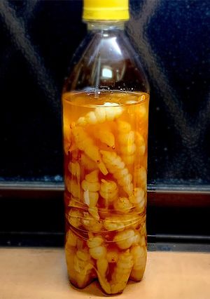 チョロギの梅酢漬け-レシピのメイン写真