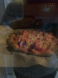 HBでピザ生地 強力粉250g-レシピのメイン写真
