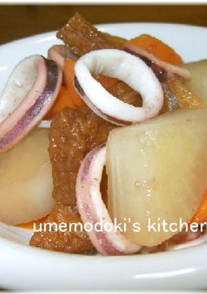 イカと大根と厚揚げの煮物-レシピのメイン写真