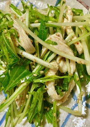 水菜と鶏むね肉のピリ辛和え-レシピのメイン写真