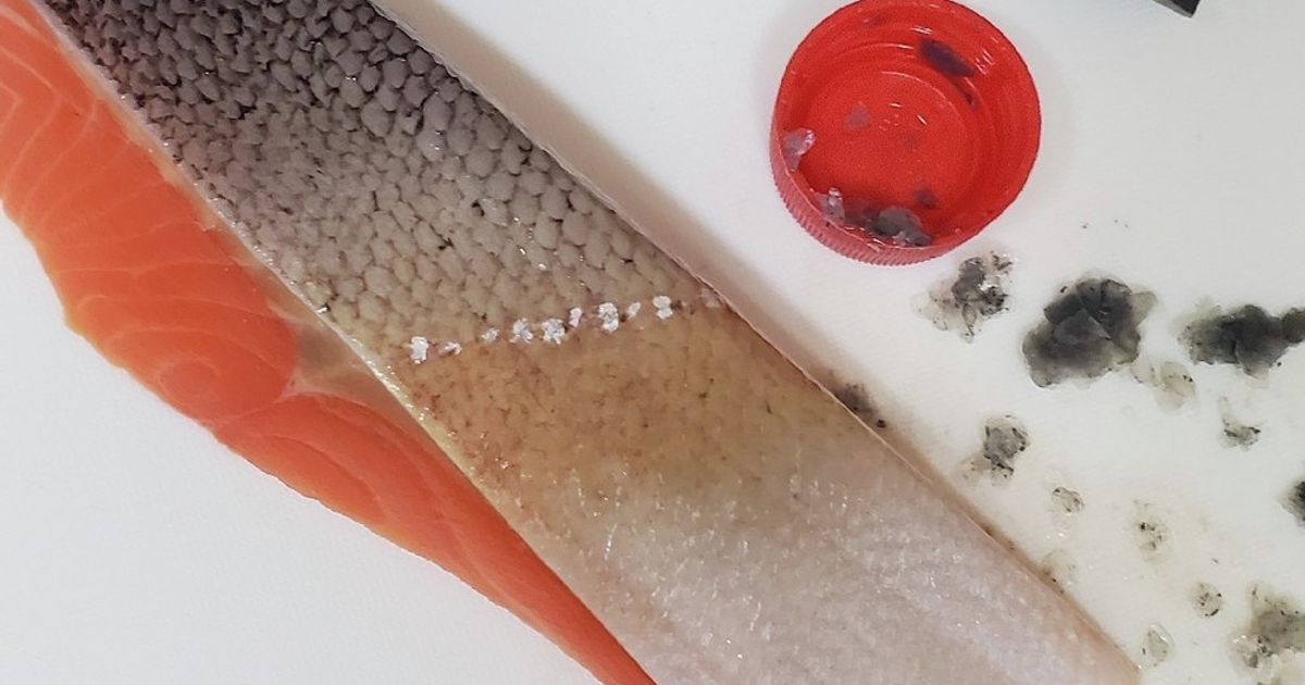基本からアレンジまで!思わずつくりたくなる「魚のウロコ」のレシピ集 | クックパッド