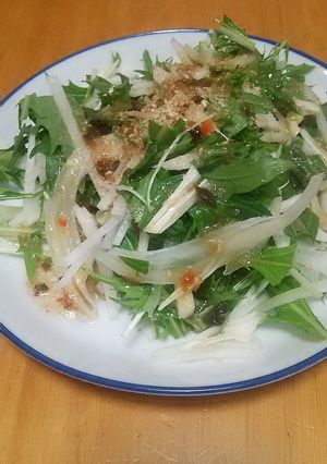 切るだけ水菜サラダ-レシピのメイン写真