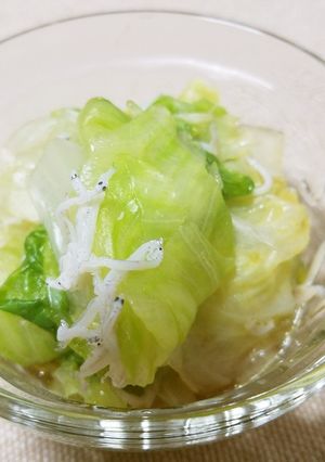 レタスの煮浸し-レシピのメイン写真