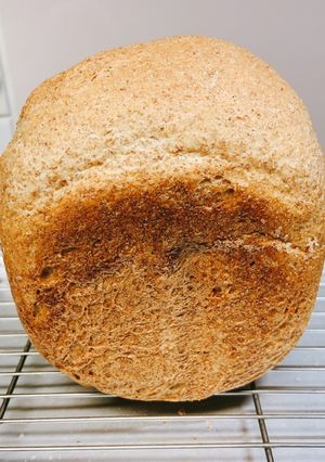 ふすま粉でブランパンHB 低糖質-レシピのメイン写真
