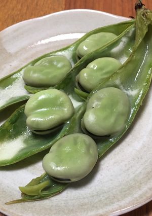 オーブンでそら豆-レシピのメイン写真