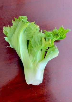 祝蕾(しゅくらい)-レシピのメイン写真