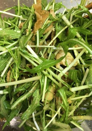 水菜とささみとザーサイのサラダ-レシピのメイン写真