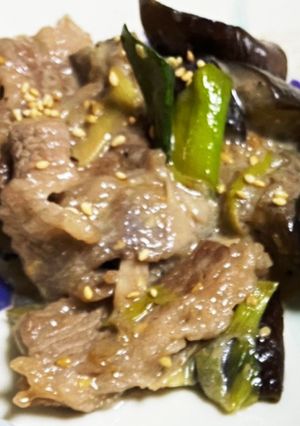 ナスとネギと牛肉の胡麻ソース-レシピのメイン写真