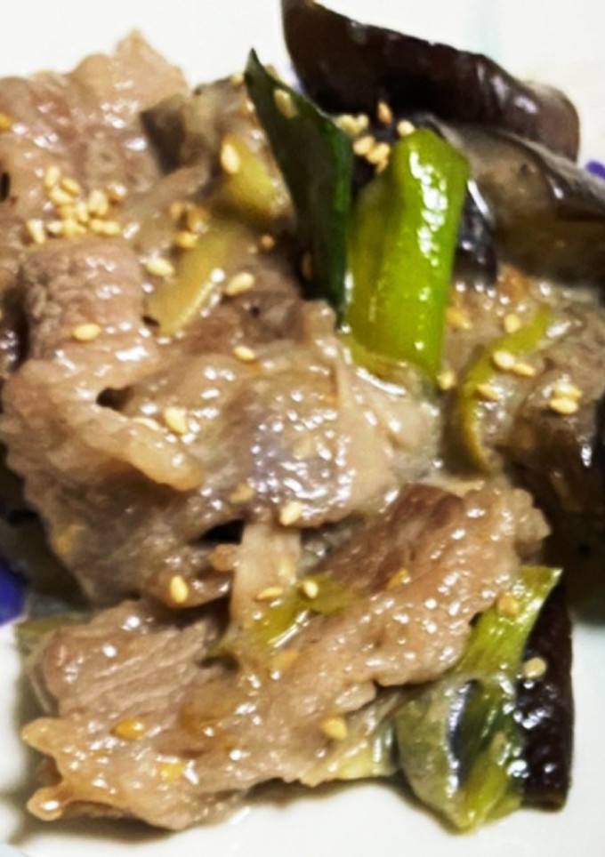 ナスとネギと牛肉の胡麻ソース-レシピのメイン写真