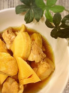 たけのこと鶏肉の煮物♪-レシピのメイン写真