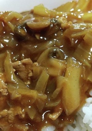 春キャベツのカレー-レシピのメイン写真
