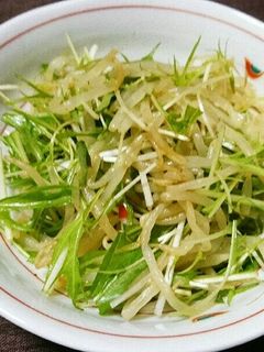 もやしと水菜のピリ辛サラダ-レシピのメイン写真