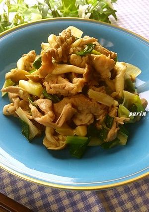 葉玉ねぎと豚肉のピリ辛豆板醤炒め-レシピのメイン写真