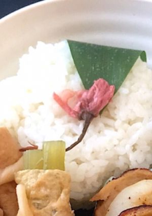 笹葉　桜ご飯　-レシピのメイン写真