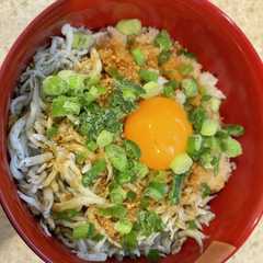 รูปของ 釜揚げしらす丼