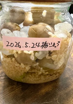 梅シロップに麹-レシピのメイン写真