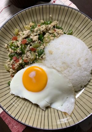 減塩ヘルシーガパオライス-レシピのメイン写真