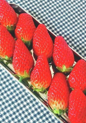 【龍愛】いちごの選び方&保存方法-レシピのメイン写真