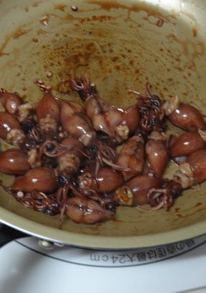ホタルイカの酒煎り-レシピのメイン写真