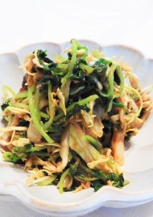 春キャベツと豆苗のみそだれマヨサラダ-レシピのメイン写真