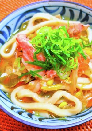 野菜たっぷり煮込やわみうどん-レシピのメイン写真