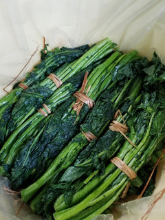 からし菜漬物-レシピのメイン写真