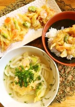 春のかき揚げ～そら豆・新たま・芝えび～-レシピのメイン写真