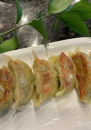 TSP (大豆プロテイン)入り野菜餃子-レシピのメイン写真