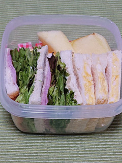 コンパクトなサンドイッチ弁当-レシピのメイン写真