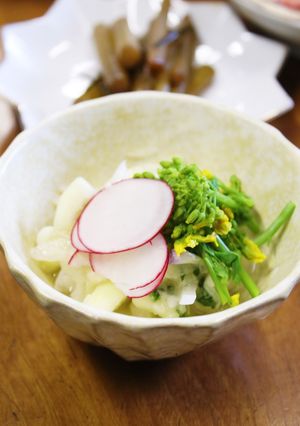 新玉ねぎと日向夏の酢の物-レシピのメイン写真