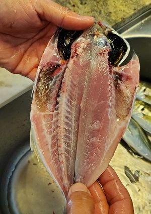 鯵のさばき方(干物作り)-レシピのメイン写真