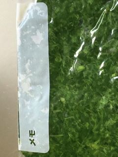 よもぎのアク抜き-レシピのメイン写真