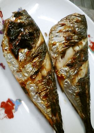 アジの「５％塩水１時間漬け」焼き、超美味-レシピのメイン写真