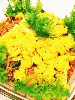 もやしの中華風サラダ-レシピのメイン写真